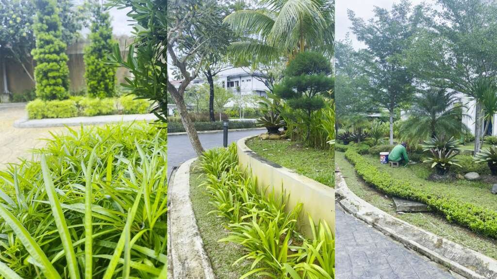 Taman Grand Panca
